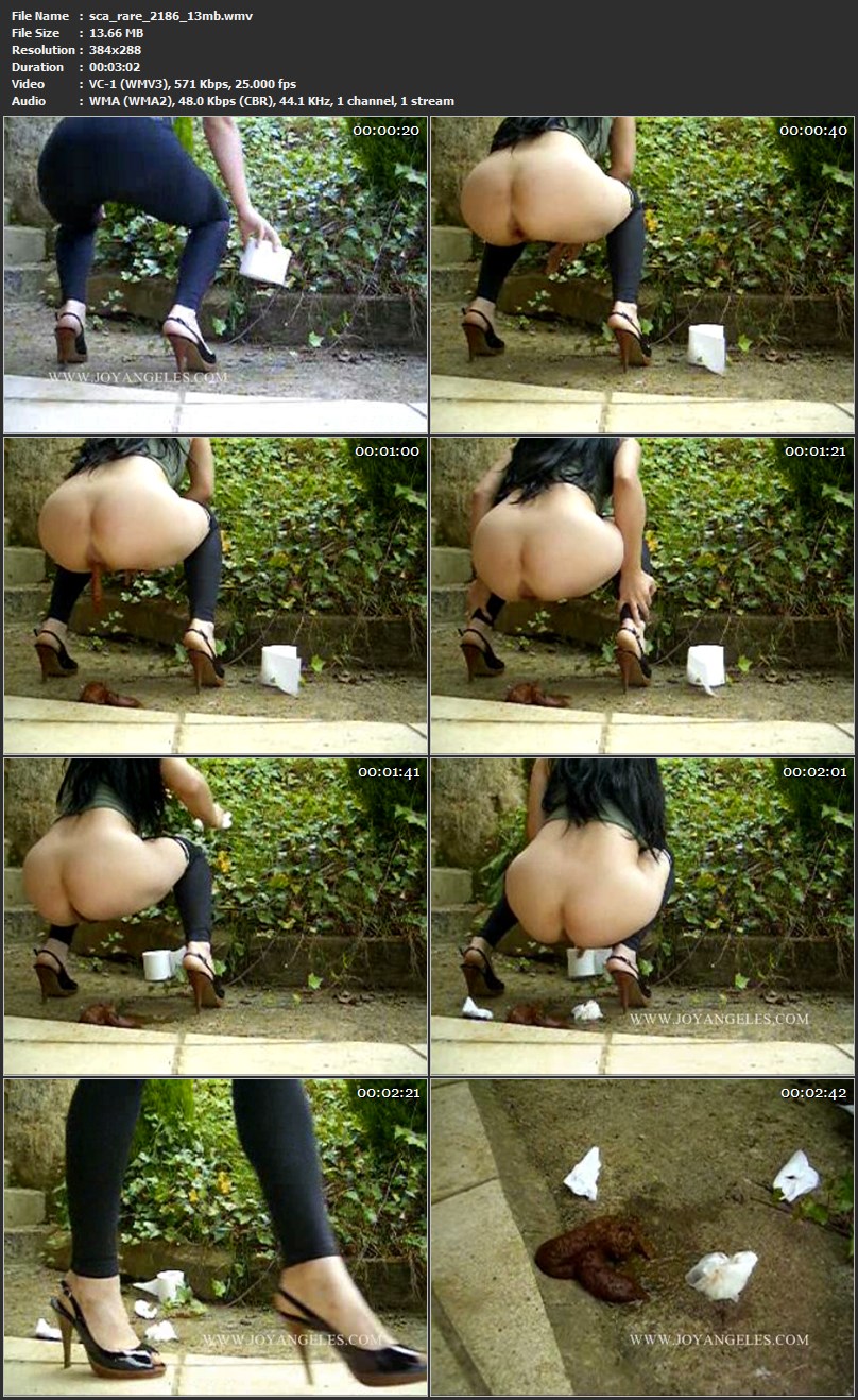 sca_rare_2186_13mb.wmv.jpg