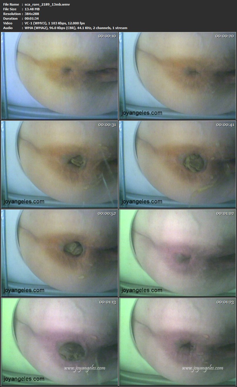 sca_rare_2189_13mb.wmv.jpg