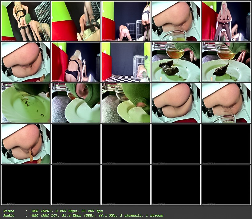 femdom_shit_183.jpg