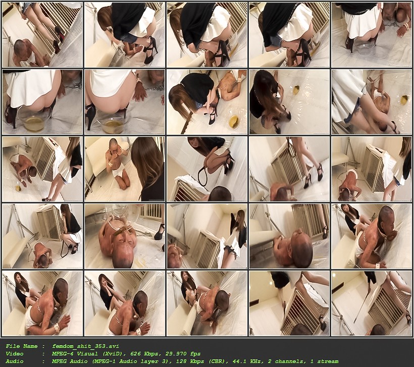 femdom_shit_353.jpg