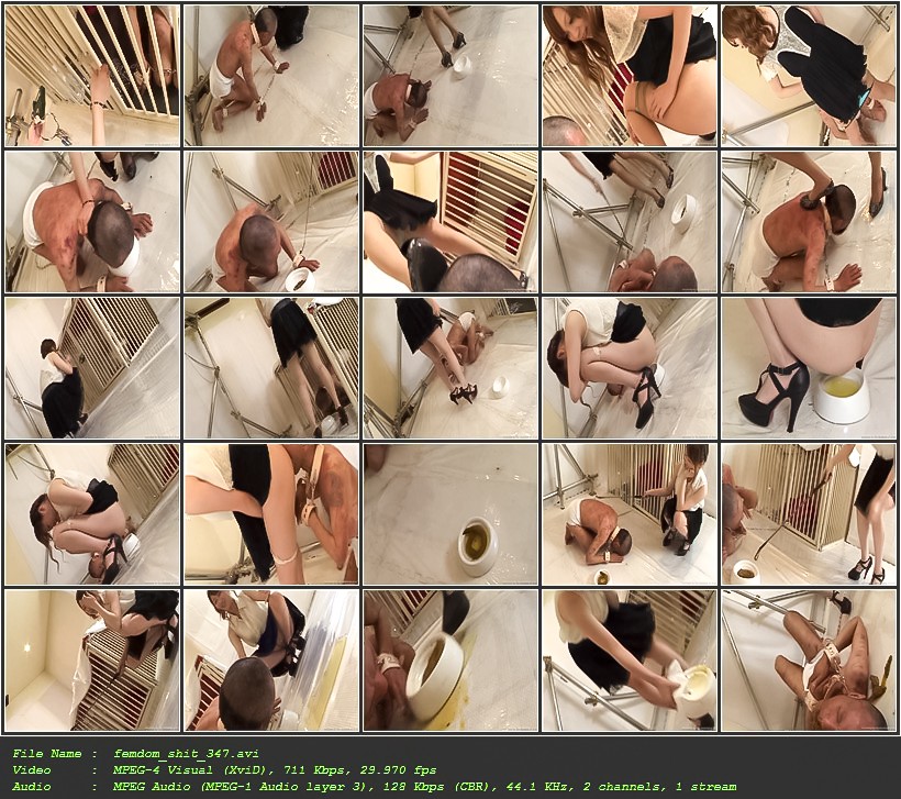 femdom_shit_347.jpg
