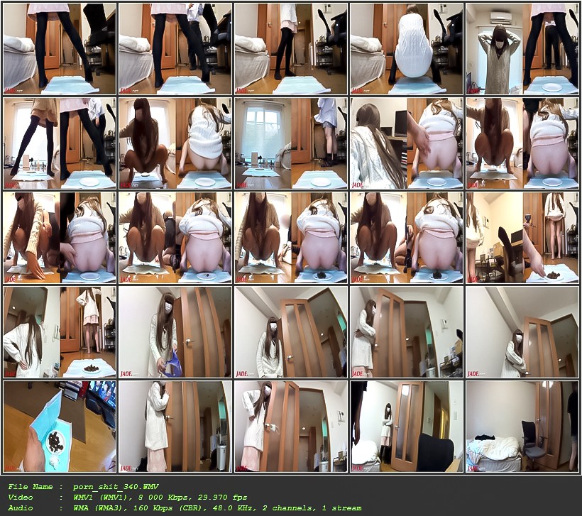 porn_shit_340.jpg